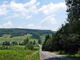 picture taken during a hike