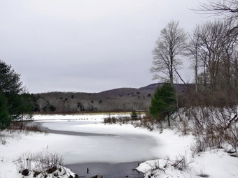 picture taken during a hike