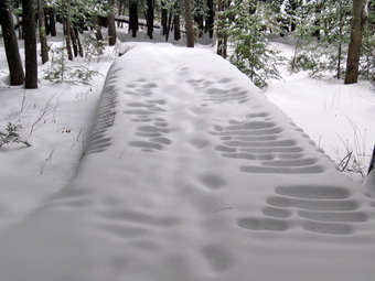 picture taken during a hike