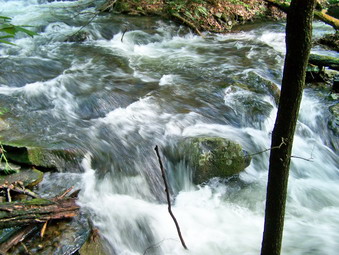 picture taken during a hike