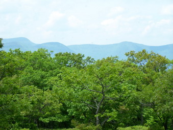 picture taken during a hike