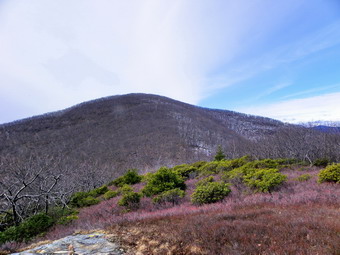 picture taken during a hike