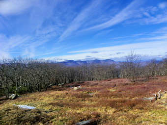 picture taken during a hike