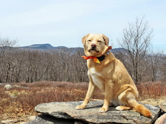 picture taken during a hike