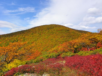 picture taken during a hike