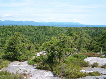 picture taken during a hike