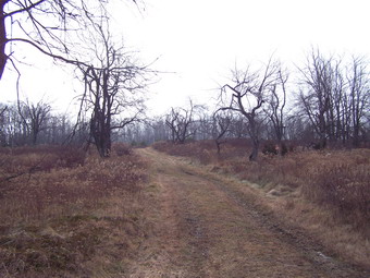 picture taken during a hike