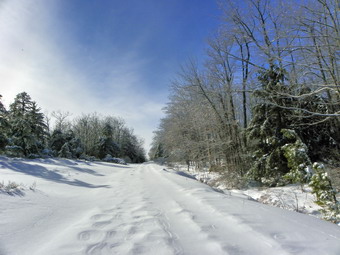 picture taken during a hike