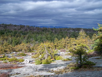 picture taken during a hike