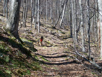 picture taken during a hike