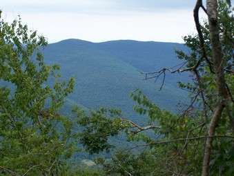 picture taken during a hike