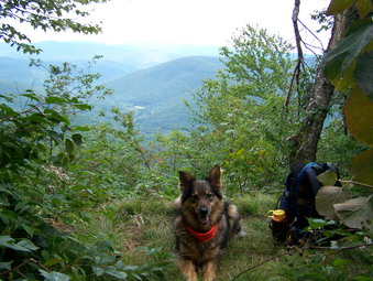 picture taken during a hike