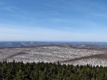 picture taken during a hike