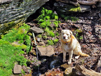 picture taken during a hike