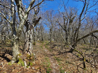 picture taken during a hike