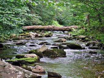 picture taken during a hike