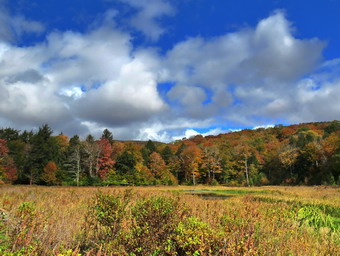 picture taken during a hike