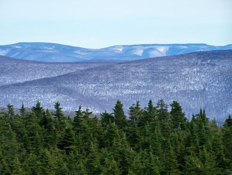 picture taken during a hike