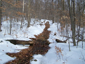 picture taken during a hike