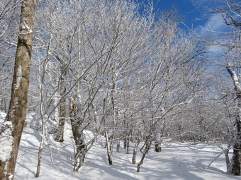 picture taken during a hike