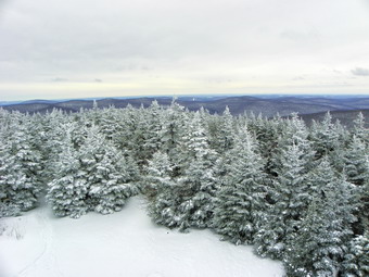 picture taken during a hike