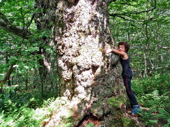 picture taken during a hike