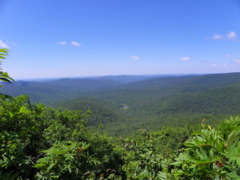 picture taken during a hike