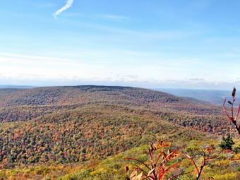 picture taken during a hike