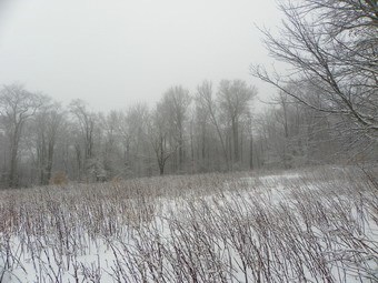 picture taken during a hike