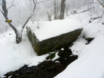 picture taken during a hike