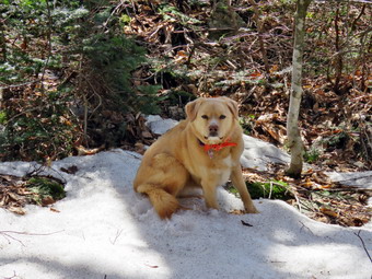 picture taken during a hike