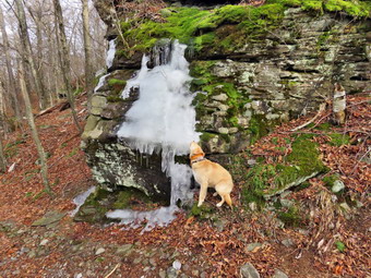 picture taken during a hike