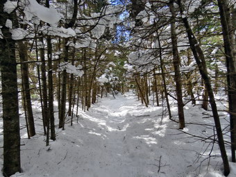 picture taken during a hike