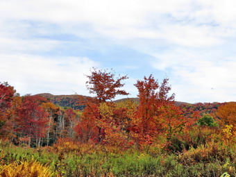 picture taken during a hike