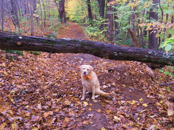 picture taken during a hike