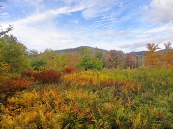 picture taken during a hike