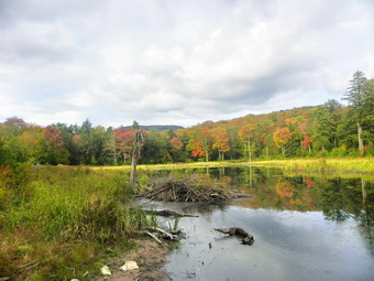 picture taken during a hike