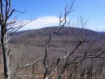 picture taken during a hike