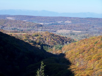 picture taken during a hike