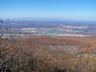 picture taken during a hike