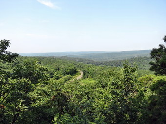 picture taken during a hike