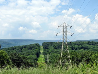 picture taken during a hike