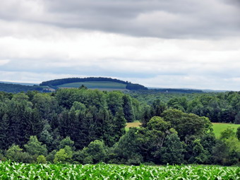 picture taken during a hike