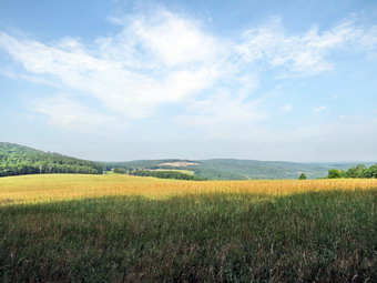 picture taken during a hike