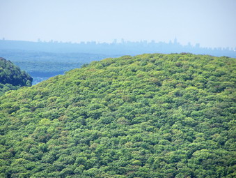 picture taken during a hike