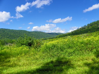 picture taken during a hike