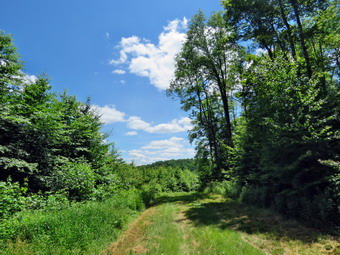 picture taken during a hike