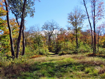 picture taken during a hike