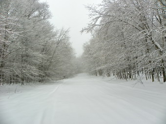 picture taken during a hike