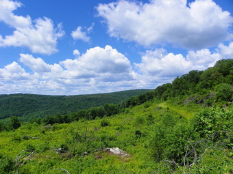 picture taken during a hike